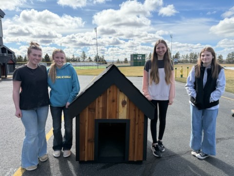  dog house